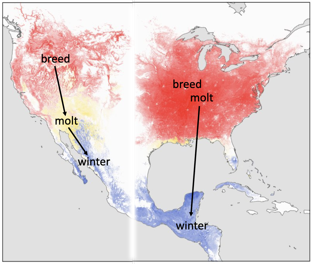 Molt divide map